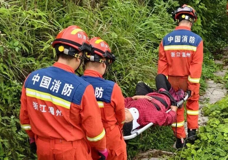 采摘杨梅切勿大意!为了这口酸甜,一女子竟摔成肋骨骨折 采摘杨梅切勿大意!为了这口酸甜,一女子竟摔成肋骨骨折