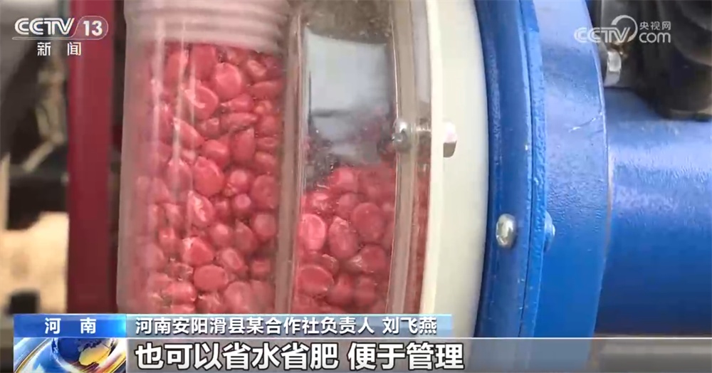 抢收、抢种、收购……从“三夏”麦收地图看夏粮收获好“丰”光
