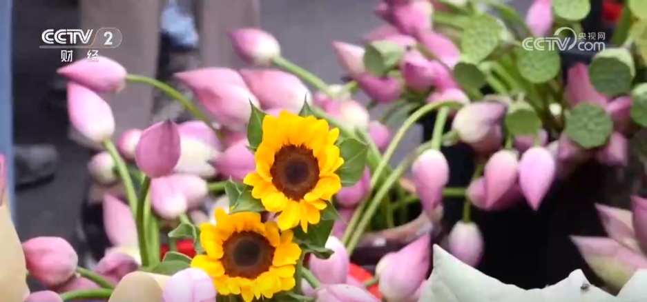 “一朵夏日荷花”撬动城市热度 以荷为媒激活文旅消费新动能 “一朵夏日荷花”撬动城市热度 以荷为媒激活文旅消费新动能