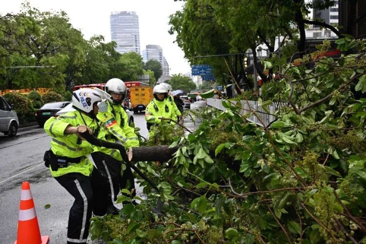 气象专家:今夏天气反常,不能只让厄尔尼诺“背锅” 气象专家:今夏天气反常,不能只让厄尔尼诺“背锅”