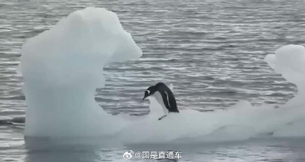 南极异常高温,超6月初正常水平20多摄氏度,冰层出现异常融化 南极异常高温,超6月初正常水平20多摄氏度,冰层出现异常融化