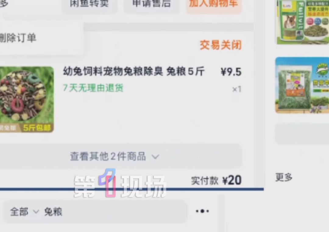 男子公园遛兔,兔子被4只未牵绳的犬只咬死!狗主人:兔也没牵绳,双方都有责任 男子公园遛兔,兔子被4只未牵绳的犬只咬死!狗主人:兔也没牵绳,双方都有责任