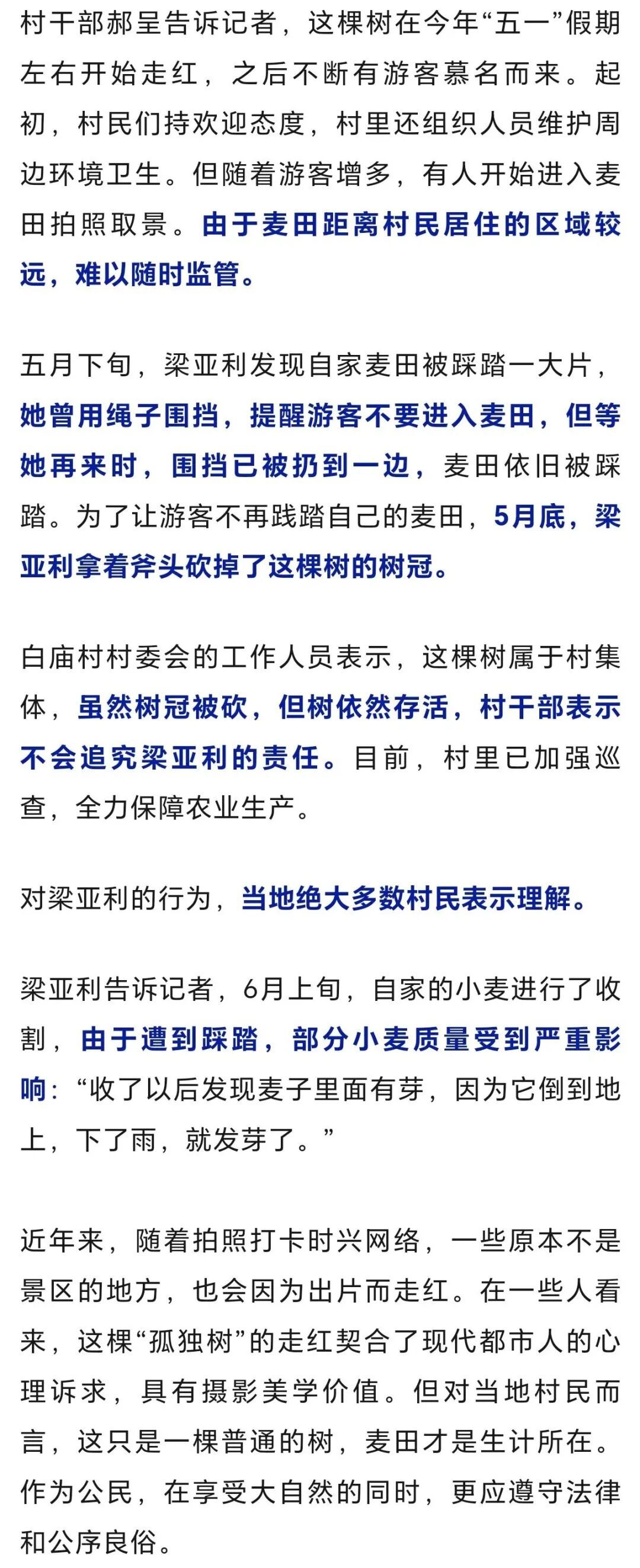 陕西“孤独树”走红,游客为拍照将麦田踩出小道,村民无奈砍掉树冠,村委会回应…… 陕西“孤独树”走红,游客为拍照将麦田踩出小道,村民无奈砍掉树冠,村委会回应……