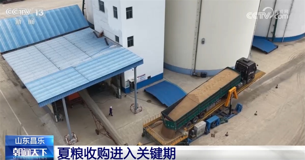 抢收、抢种、收购……从“三夏”麦收地图看夏粮收获好“丰”光