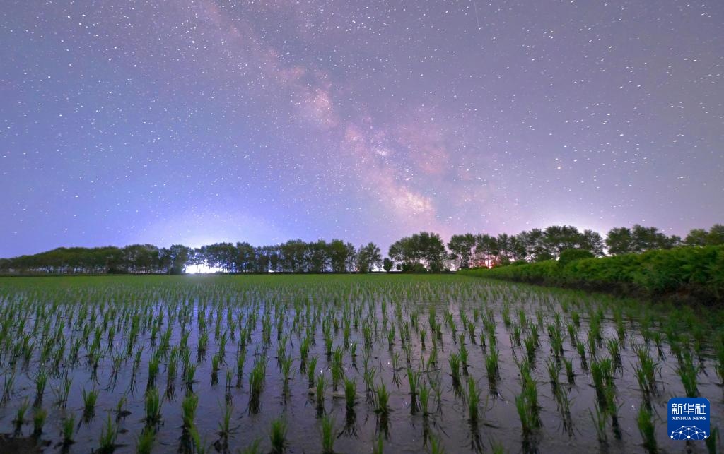 星空相册丨新禾映星河 “北大仓”的稻田星光画卷 星空相册丨新禾映星河 “北大仓”的稻田星光画卷