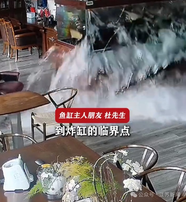 无锡一办公室大型鱼缸突然爆裂：养了多种名贵鱼，损失30多万，做成鱼汤发现不好吃