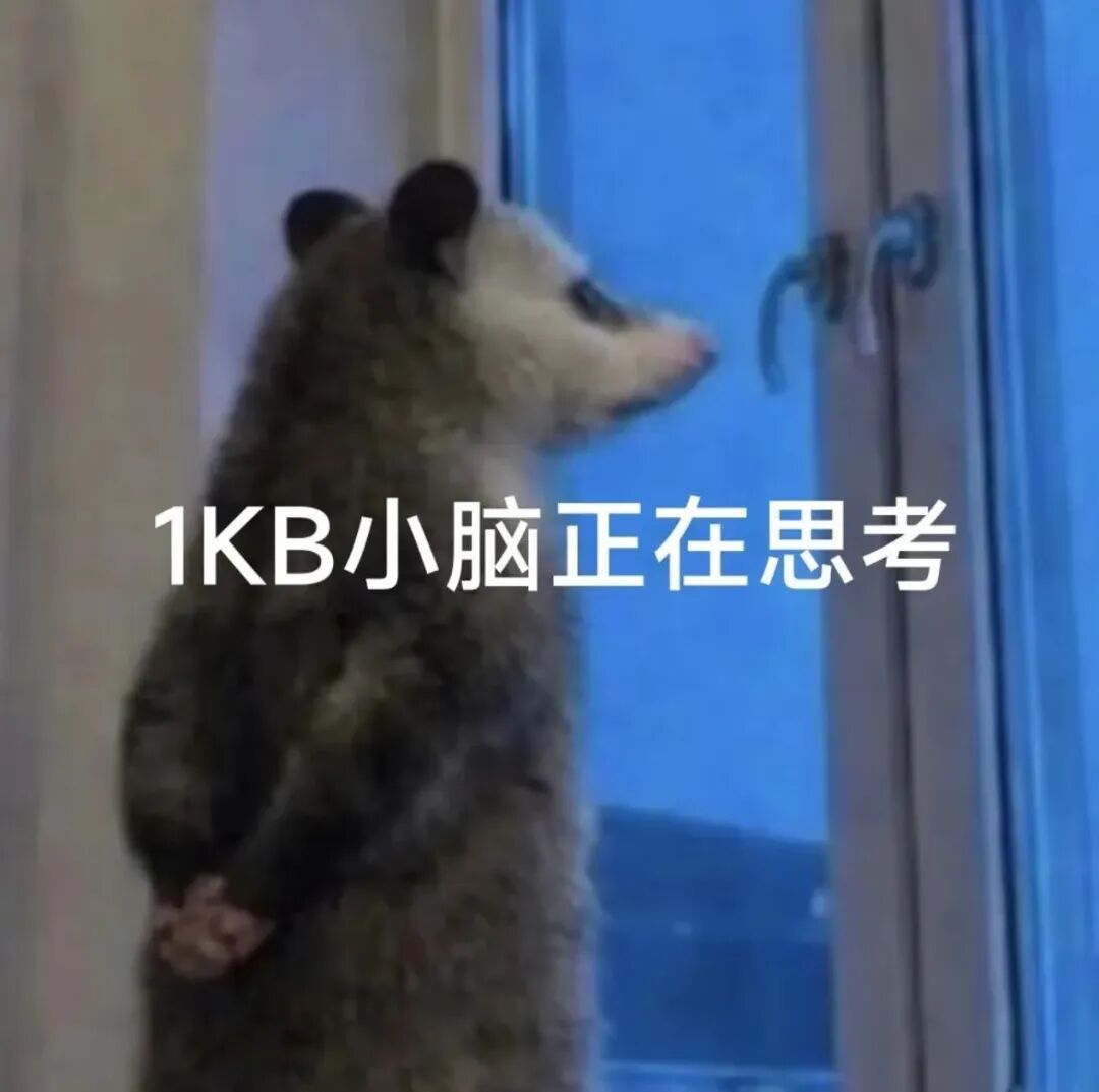 这只刷屏的负鼠,什么来头? 这只刷屏的负鼠,什么来头?