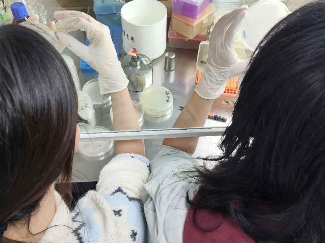 酷!福建农林大学同宿舍6名女生,全员“上岸”! 酷!福建农林大学同宿舍6名女生,全员“上岸”!