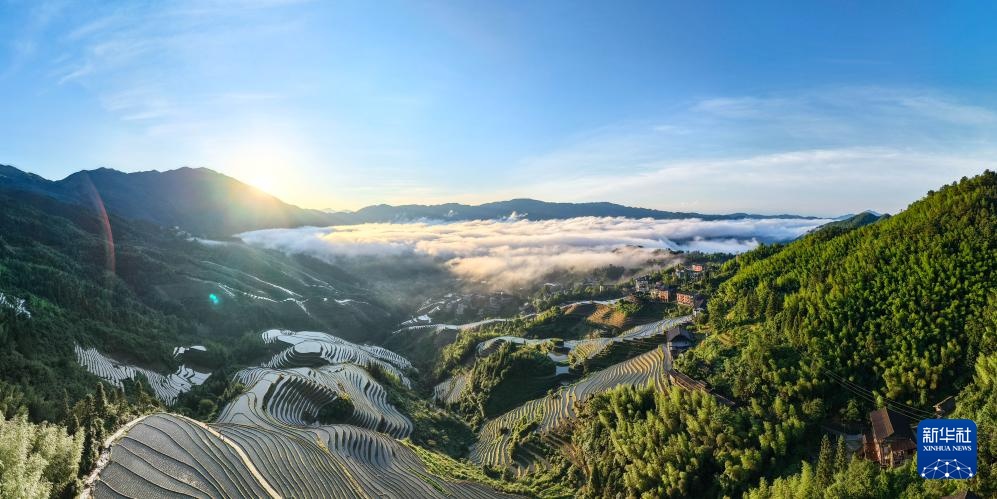 广西龙胜:梯田云海景美如画 广西龙胜:梯田云海景美如画