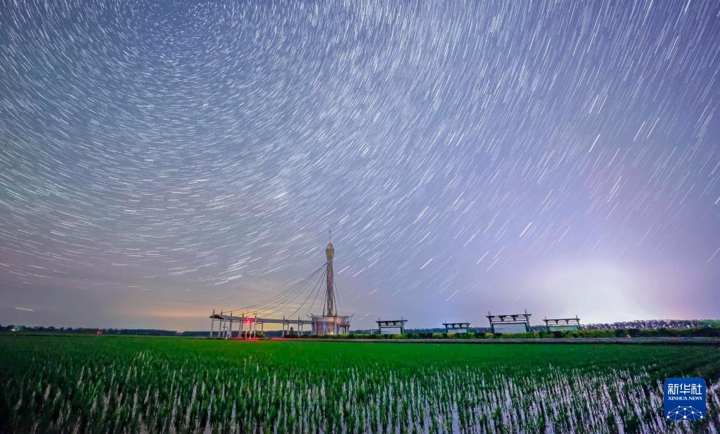 星空相册丨新禾映星河 “北大仓”的稻田星光画卷 星空相册丨新禾映星河 “北大仓”的稻田星光画卷