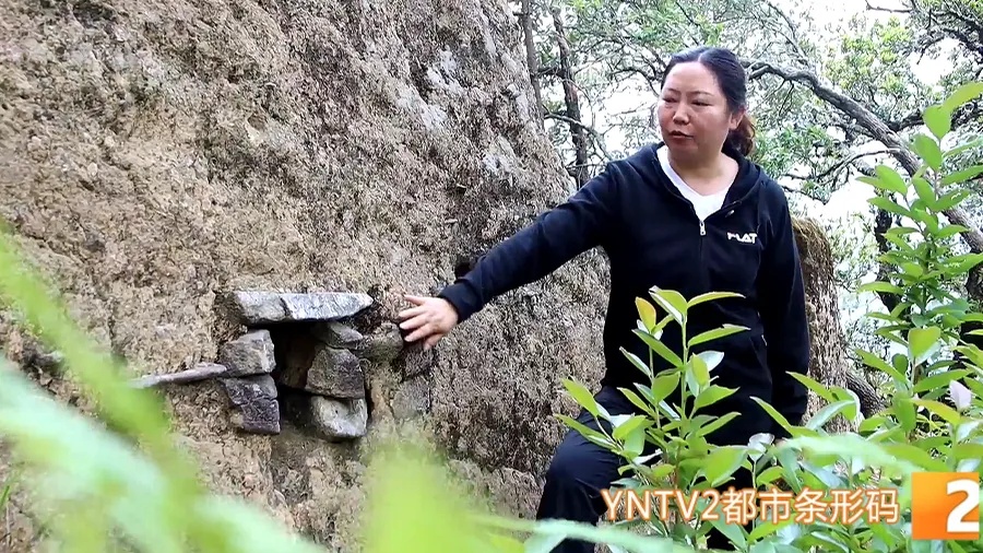 玉溪新平发现29处新文物点!哀牢山深处藏着10处清末军事遗址!文物部门:将常态化保护 玉溪新平发现29处新文物点!哀牢山深处藏着10处清末军事遗址!文物部门:将常态化保护