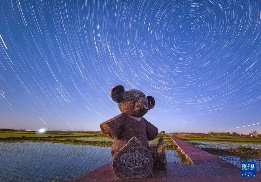 星空相册丨新禾映星河 “北大仓”的稻田星光画卷 星空相册丨新禾映星河 “北大仓”的稻田星光画卷