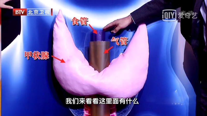 这把“长寿菜”,一吃健骨骼,二吃护肝脏,三吃强免疫!尤其适合三高人群 这把“长寿菜”,一吃健骨骼,二吃护肝脏,三吃强免疫!尤其适合三高人群