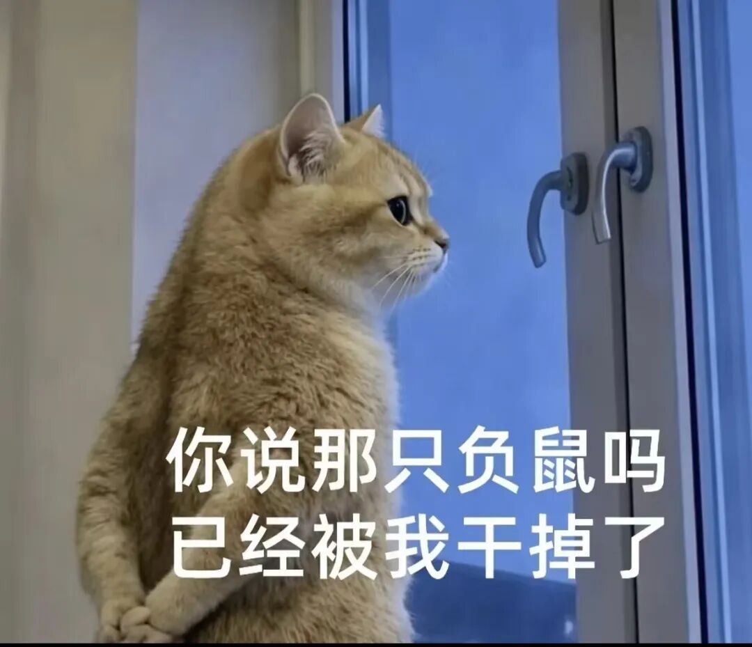 这只刷屏的负鼠,什么来头? 这只刷屏的负鼠,什么来头?