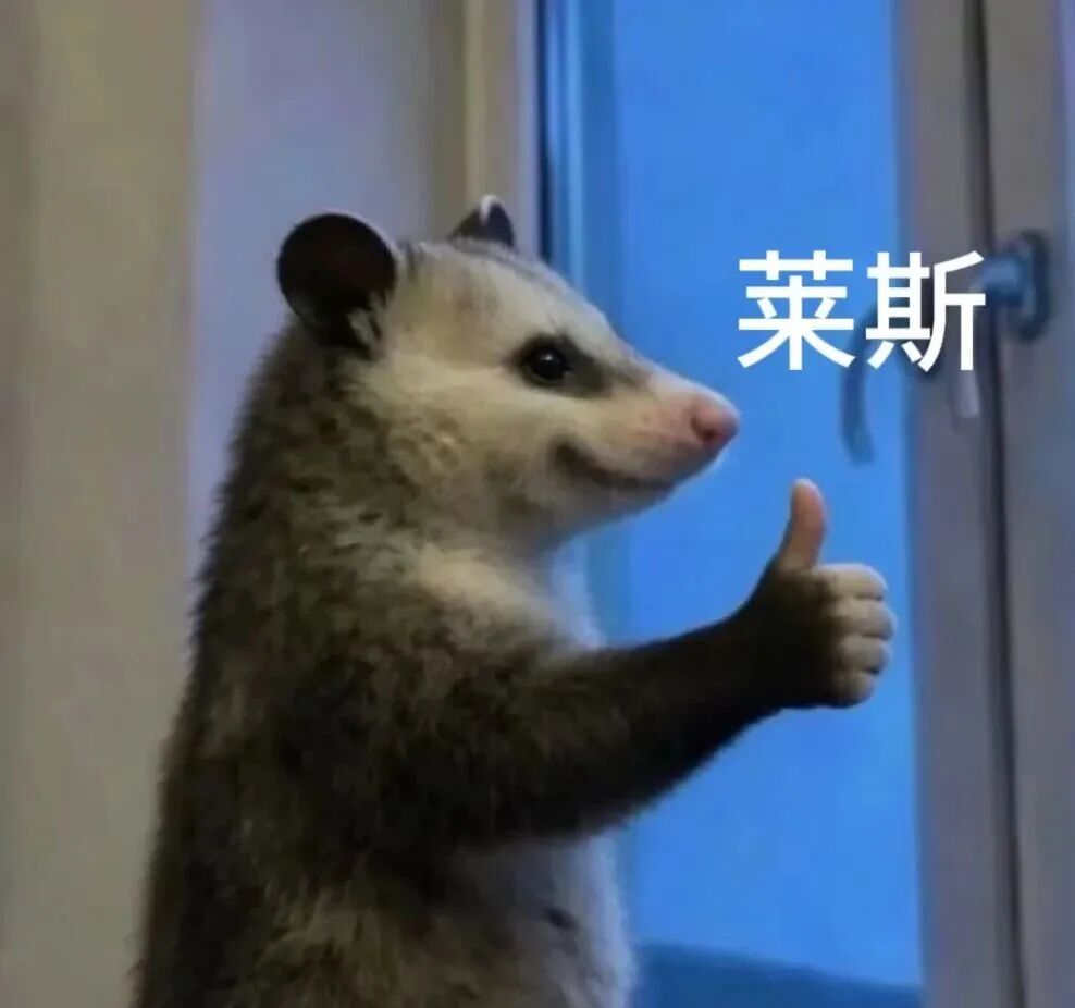这只刷屏的负鼠,什么来头? 这只刷屏的负鼠,什么来头?