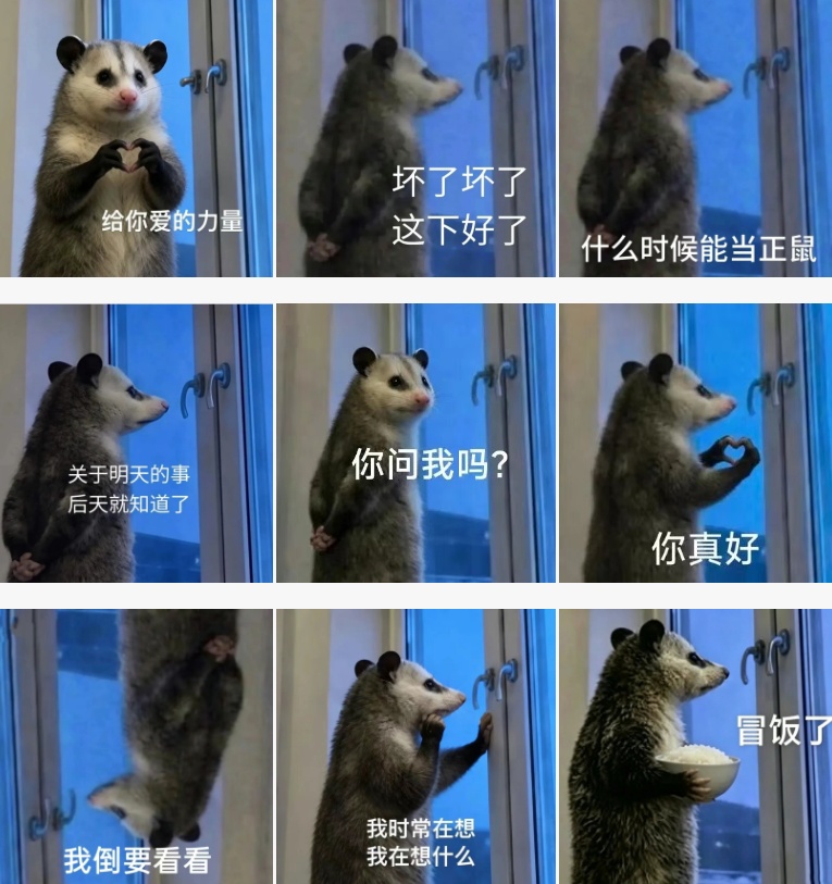 这只刷屏的负鼠,什么来头? 这只刷屏的负鼠,什么来头?