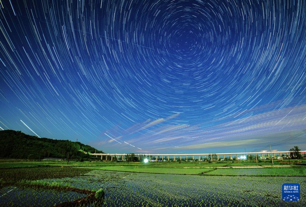 星空相册丨新禾映星河 “北大仓”的稻田星光画卷 星空相册丨新禾映星河 “北大仓”的稻田星光画卷