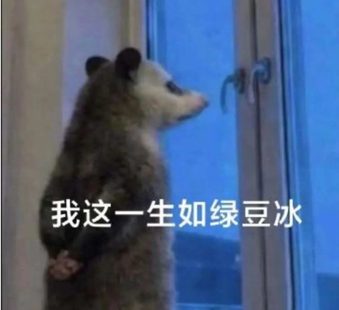 这只刷屏的负鼠,什么来头? 这只刷屏的负鼠,什么来头?
