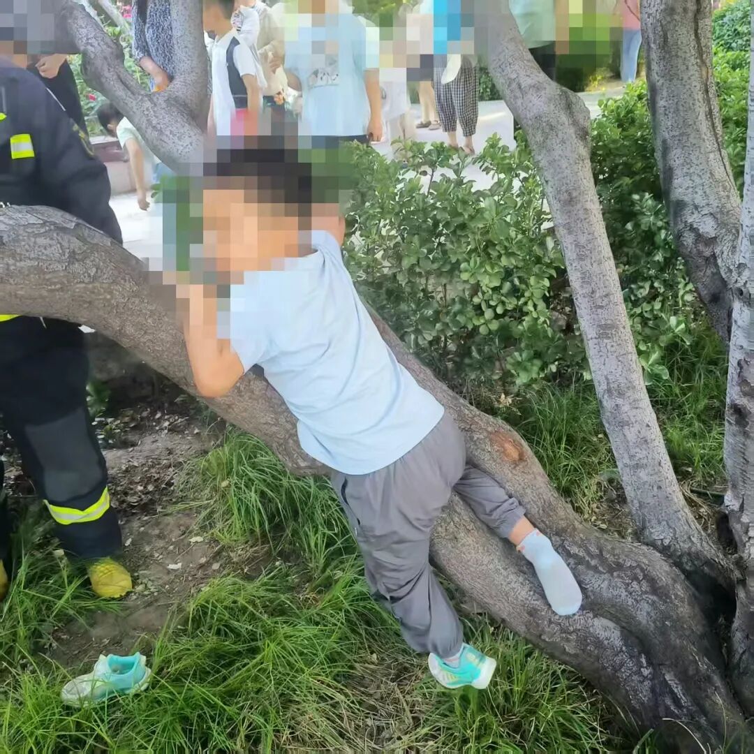 紧急!一孩童腿部被树干死死“咬”住 消防员如何化险为夷? 紧急!一孩童腿部被树干死死“咬”住 消防员如何化险为夷?