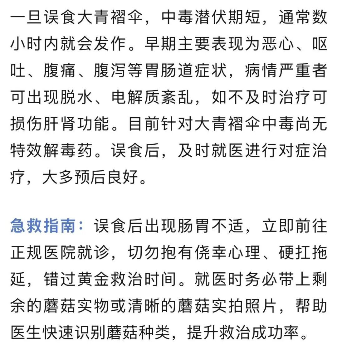 藏在公园绿地、小区草坪!误食这种毒蘑菇尽快就医别拖延—— 藏在公园绿地、小区草坪!误食这种毒蘑菇尽快就医别拖延——