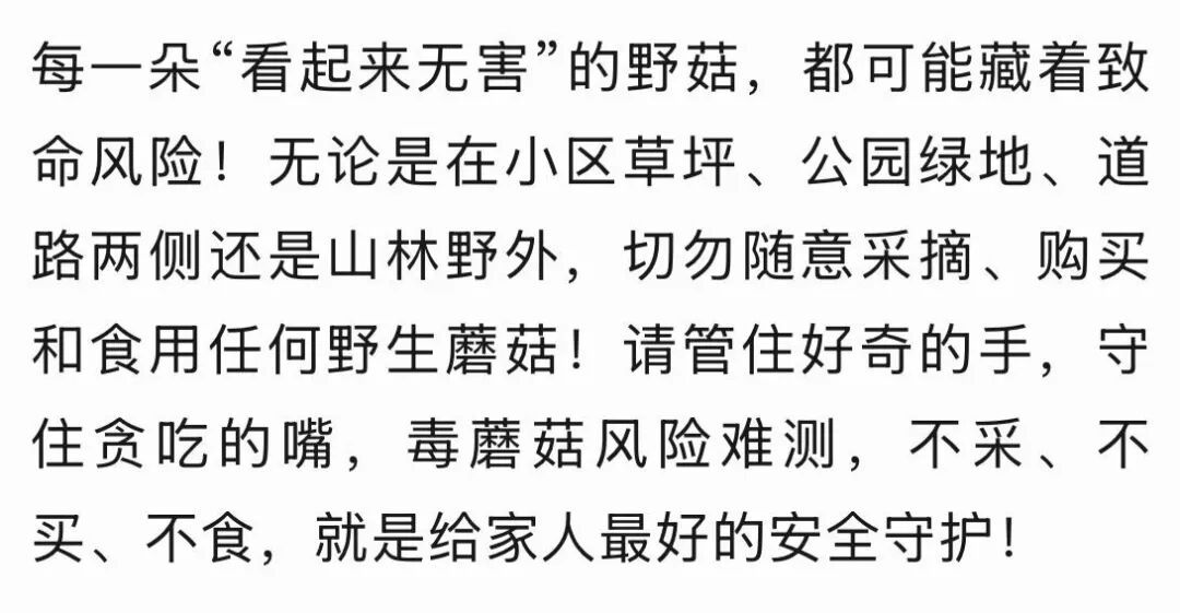 藏在公园绿地、小区草坪!误食这种毒蘑菇尽快就医别拖延—— 藏在公园绿地、小区草坪!误食这种毒蘑菇尽快就医别拖延——