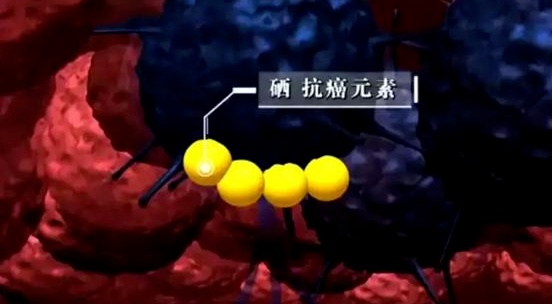 这把“长寿菜”,一吃健骨骼,二吃护肝脏,三吃强免疫!尤其适合三高人群 这把“长寿菜”,一吃健骨骼,二吃护肝脏,三吃强免疫!尤其适合三高人群