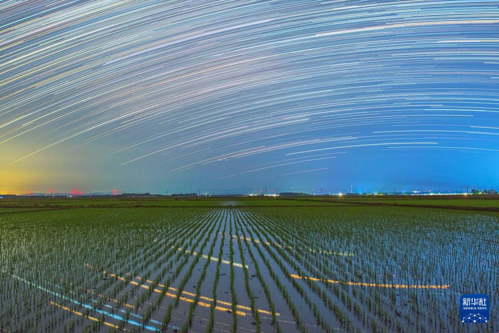 星空相册丨新禾映星河 “北大仓”的稻田星光画卷 星空相册丨新禾映星河 “北大仓”的稻田星光画卷