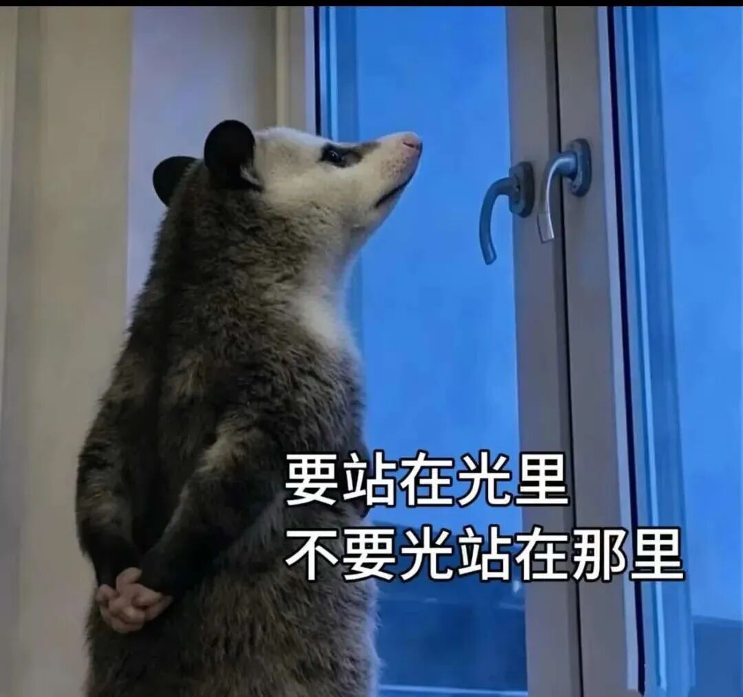 这只刷屏的负鼠,什么来头? 这只刷屏的负鼠,什么来头?