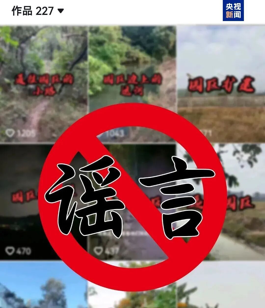 确认了!系谣言!好多人都信了 确认了!系谣言!好多人都信了