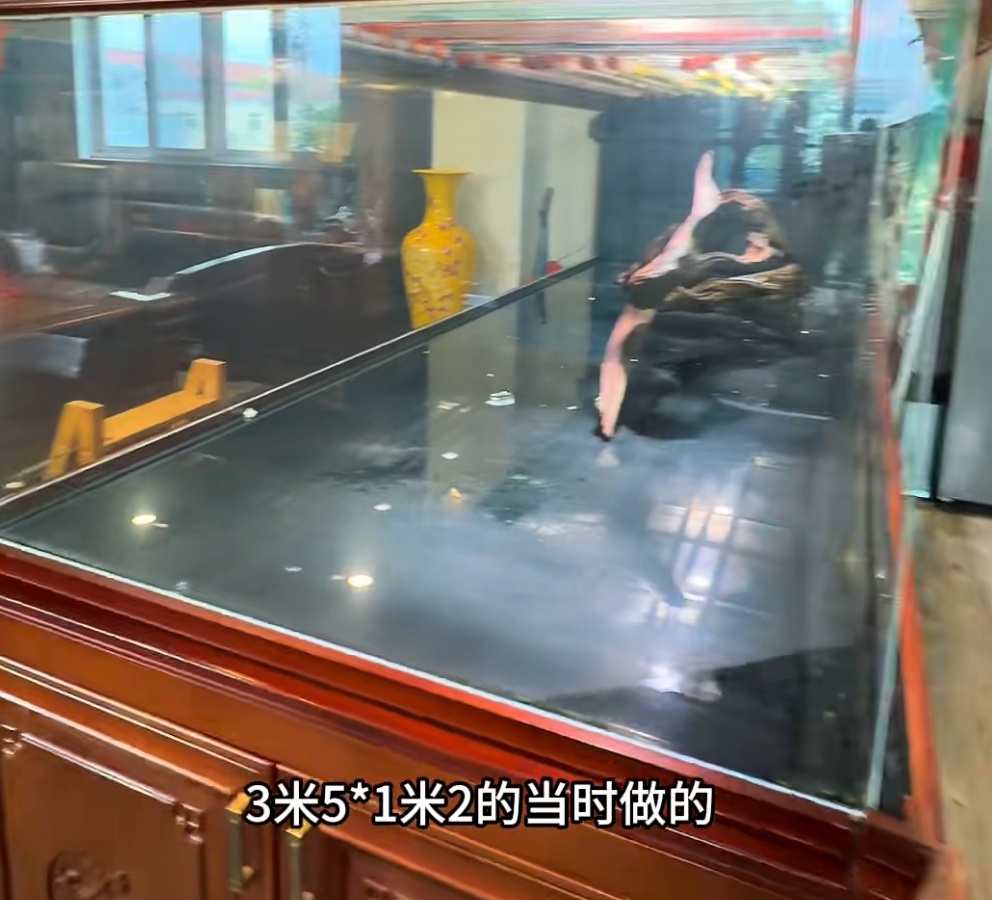 3米多鱼缸爆裂致多条名贵观赏鱼死亡,主人忍痛开席招待好友:味道还可以 3米多鱼缸爆裂致多条名贵观赏鱼死亡,主人忍痛开席招待好友:味道还可以
