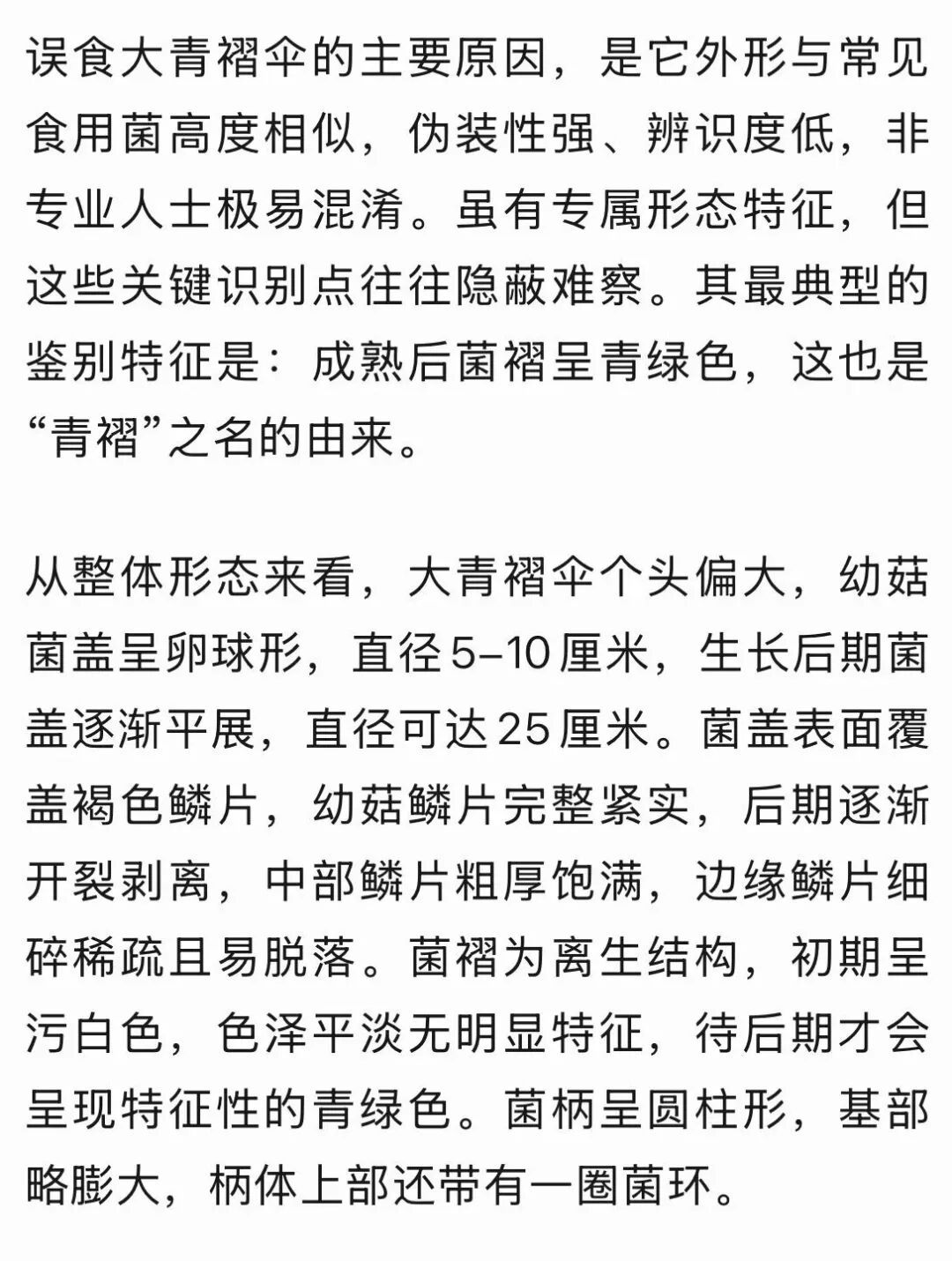 藏在公园绿地、小区草坪!误食这种毒蘑菇尽快就医别拖延—— 藏在公园绿地、小区草坪!误食这种毒蘑菇尽快就医别拖延——