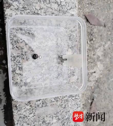 男子被蜱虫叮咬涂花露水刺激其脱落 男子被蜱虫叮咬涂花露水刺激其脱落