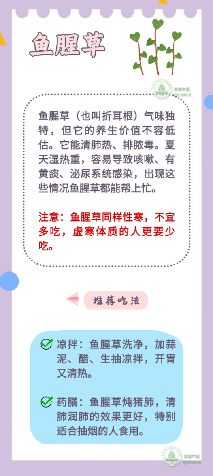 “最下火”的5种“菜”,清心火、消内热,简单一做,清热又安神 “最下火”的5种“菜”,清心火、消内热,简单一做,清热又安神