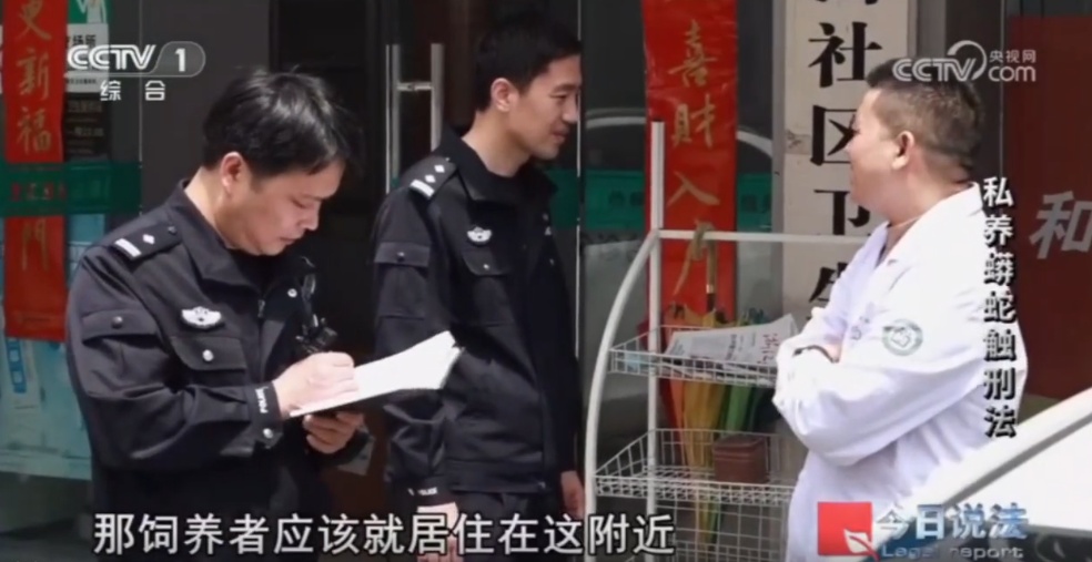 毛骨悚然!独居男子在小区里养300多条蟒蛇,16万购入4条球蟒 毛骨悚然!独居男子在小区里养300多条蟒蛇,16万购入4条球蟒