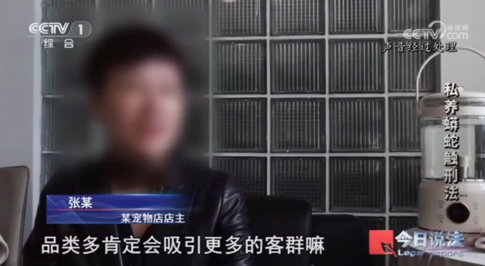 浙江男子在家里养300多条蟒蛇,涉案3000万,抓蛇现场,民警直呼毛骨悚然 浙江男子在家里养300多条蟒蛇,涉案3000万,抓蛇现场,民警直呼毛骨悚然