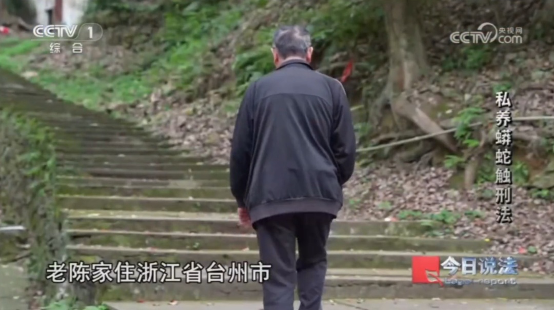 毛骨悚然!独居男子在小区里养300多条蟒蛇,16万购入4条球蟒 毛骨悚然!独居男子在小区里养300多条蟒蛇,16万购入4条球蟒