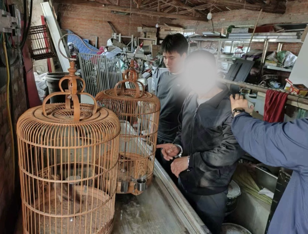 家中玻璃被砸花1800元买的两只鸟被盗 嫌疑人竟是邻居:见买主“显摆”不得劲 家中玻璃被砸花1800元买的两只鸟被盗 嫌疑人竟是邻居:见买主“显摆”不得劲