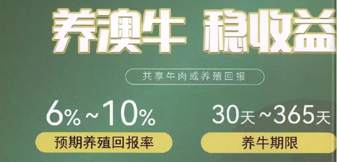 养牛能赚钱?上海男子豪掷300万,换来600头“云养牛”…… 养牛能赚钱?上海男子豪掷300万,换来600头“云养牛”……