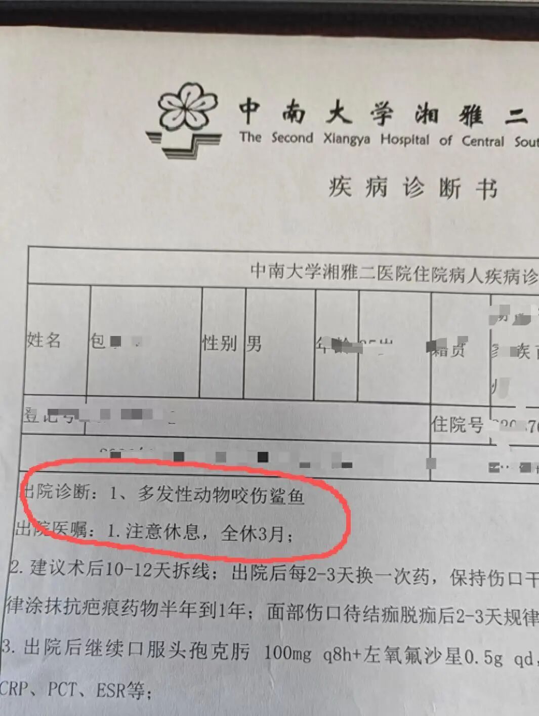 男子在海洋馆体验潜水,遭鲨鱼撕咬…… 男子在海洋馆体验潜水,遭鲨鱼撕咬……