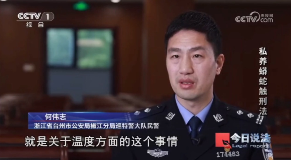 毛骨悚然!独居男子在小区里养300多条蟒蛇,16万购入4条球蟒 毛骨悚然!独居男子在小区里养300多条蟒蛇,16万购入4条球蟒