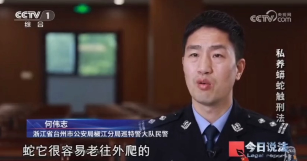 浙江男子在家里养300多条蟒蛇,涉案3000万,抓蛇现场,民警直呼毛骨悚然 浙江男子在家里养300多条蟒蛇,涉案3000万,抓蛇现场,民警直呼毛骨悚然