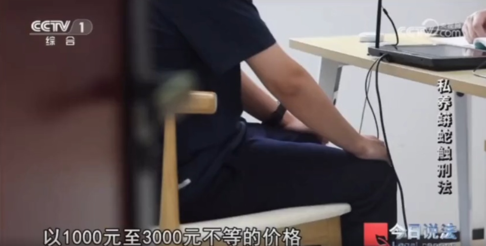 毛骨悚然!独居男子在小区里养300多条蟒蛇,16万购入4条球蟒 毛骨悚然!独居男子在小区里养300多条蟒蛇,16万购入4条球蟒