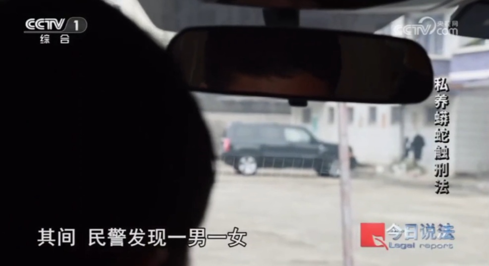毛骨悚然!独居男子在小区里养300多条蟒蛇,16万购入4条球蟒 毛骨悚然!独居男子在小区里养300多条蟒蛇,16万购入4条球蟒