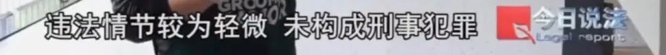 浙江男子在家里养300多条蟒蛇,涉案3000万,抓蛇现场,民警直呼毛骨悚然 浙江男子在家里养300多条蟒蛇,涉案3000万,抓蛇现场,民警直呼毛骨悚然
