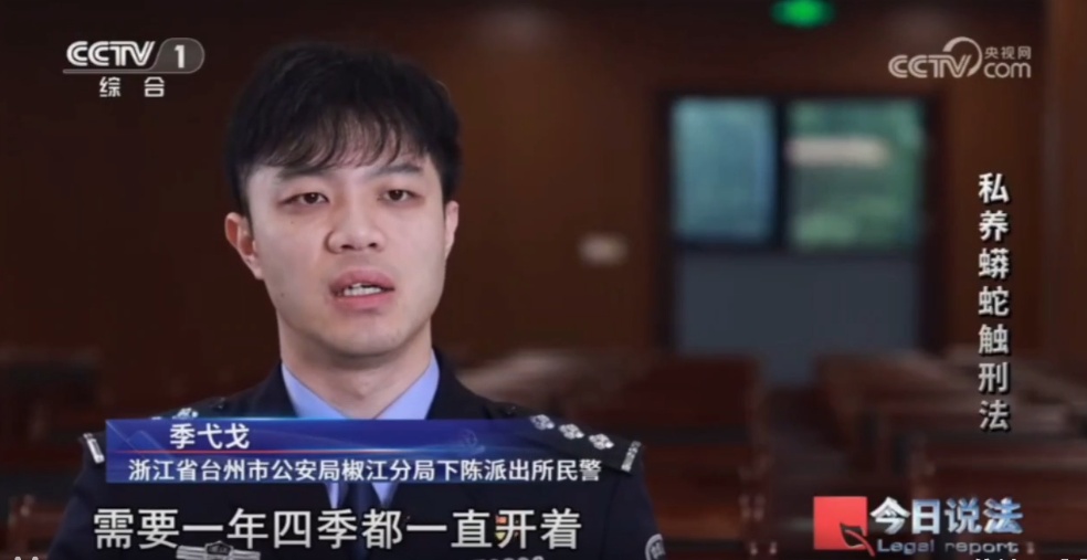 浙江男子在家里养300多条蟒蛇,涉案3000万,抓蛇现场,民警直呼毛骨悚然 浙江男子在家里养300多条蟒蛇,涉案3000万,抓蛇现场,民警直呼毛骨悚然