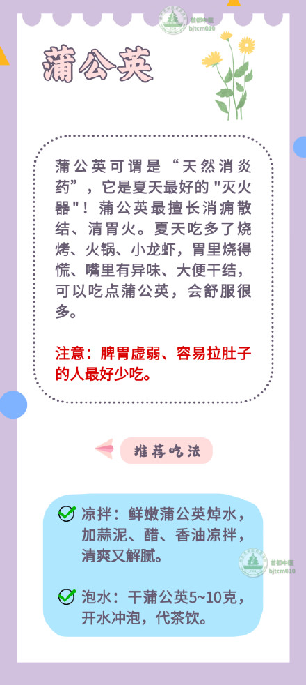 “最下火”的5种“菜”,清心火、消内热,简单一做,清热又安神 “最下火”的5种“菜”,清心火、消内热,简单一做,清热又安神