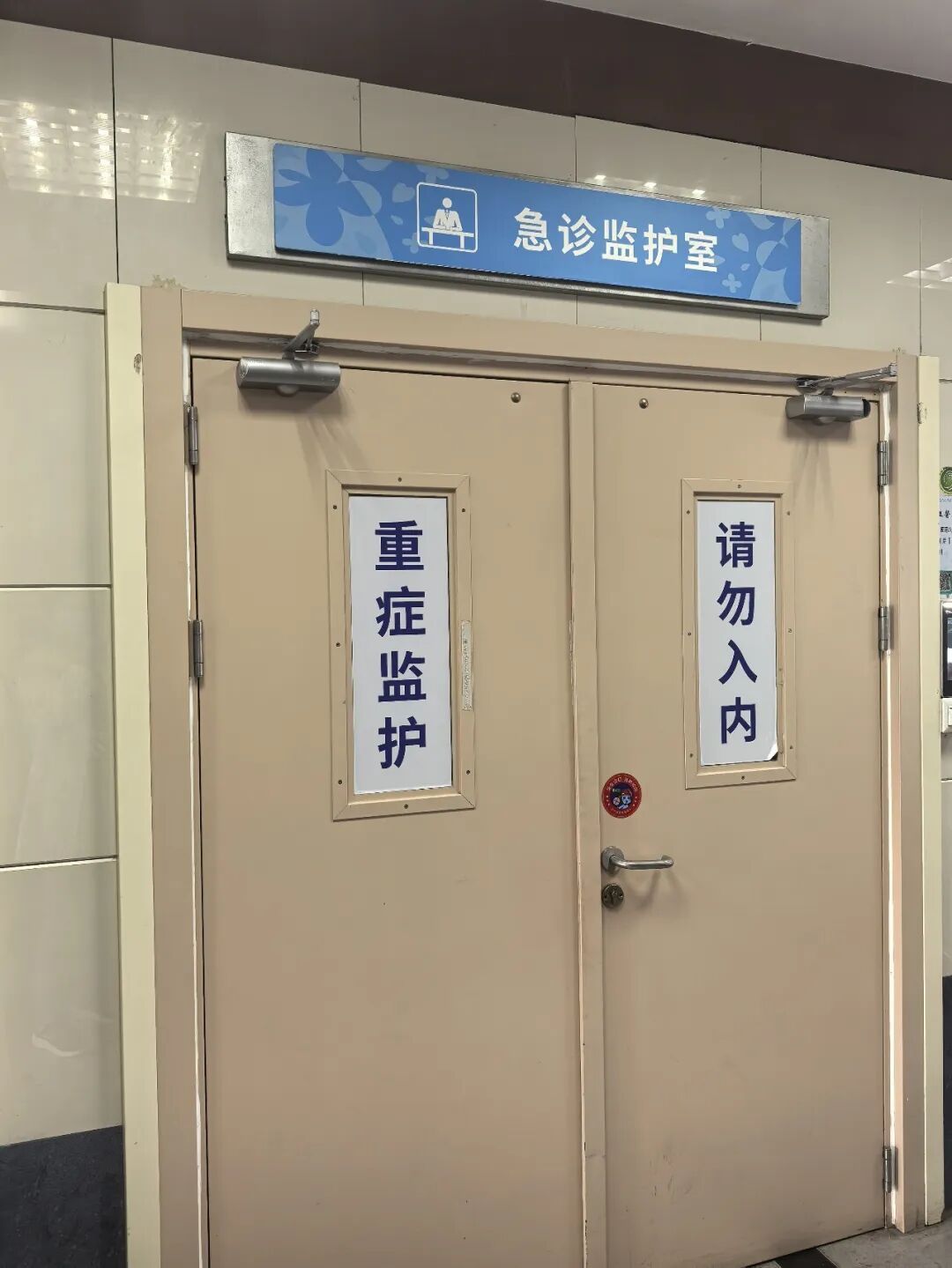 狂炫一斤杨梅!浙江男子恶心呕吐,无法进食,一查肾损伤 狂炫一斤杨梅!浙江男子恶心呕吐,无法进食,一查肾损伤