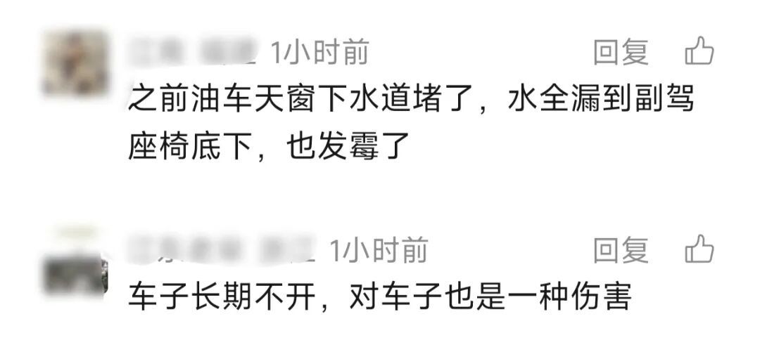 汽车停地库一个多月,方向盘和座椅长满了毛!"洗了两个多小时" 汽车停地库一个多月,方向盘和座椅长满了毛!"洗了两个多小时"