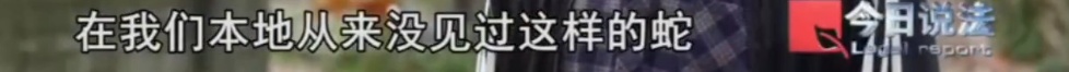 毛骨悚然!独居男子在小区里养300多条蟒蛇!每月喂养花掉4000多元 毛骨悚然!独居男子在小区里养300多条蟒蛇!每月喂养花掉4000多元