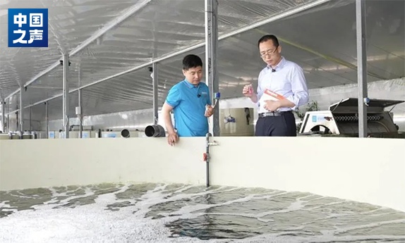 宁夏没有海,为何能在戈壁滩里养“海鲜”? 宁夏没有海,为何能在戈壁滩里养“海鲜”?